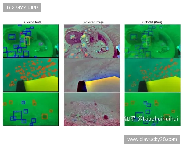 高动态范围成像技术现已普及 确保不同光照下赛场细节无损